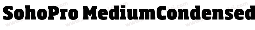 SohoPro MediumCondensed字体转换